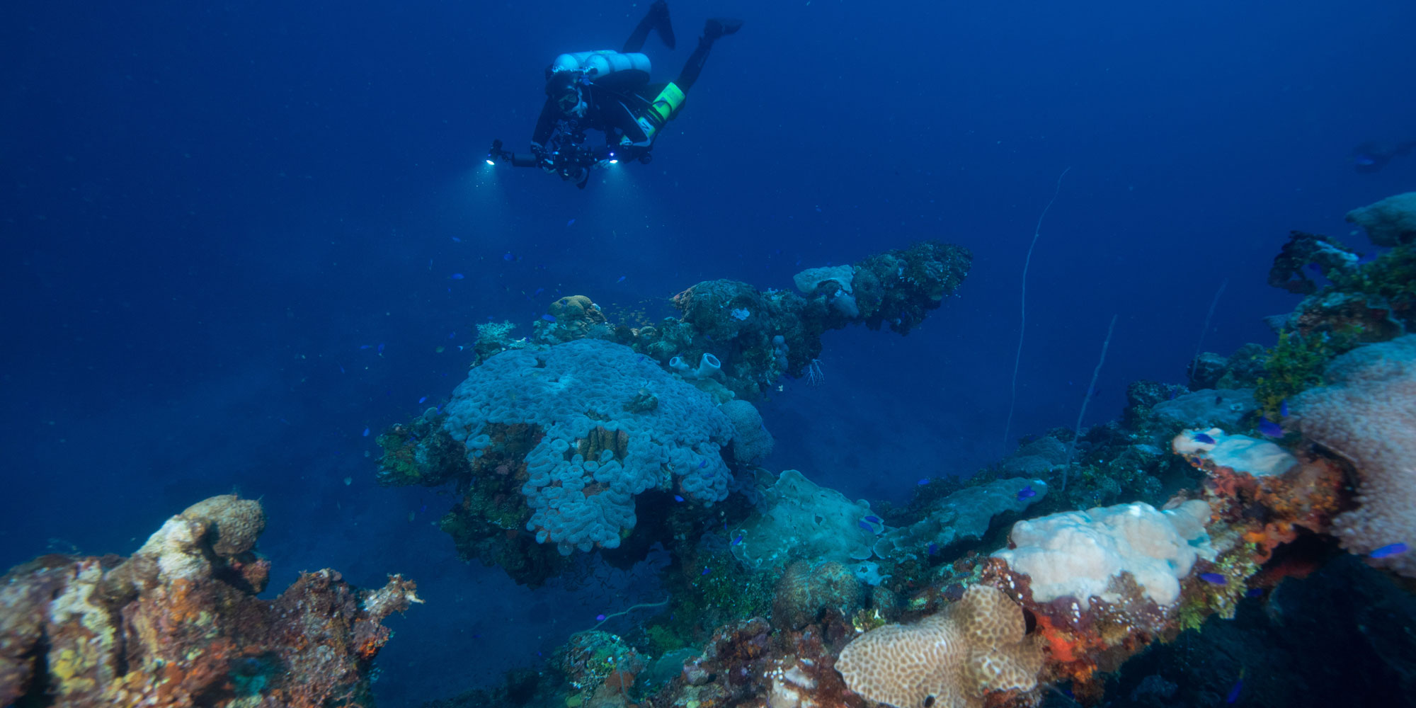 Wrecks are now artificial reefs but many still potentially contain thousands of litres of toxic fuel oil.